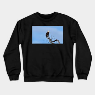 A Bald Eagle Perching In a Tree Crewneck Sweatshirt